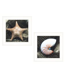 "Ocean Net Collection" 2-Piece Vignette By John Jones; Ready to Hang Framed Print; White Frame